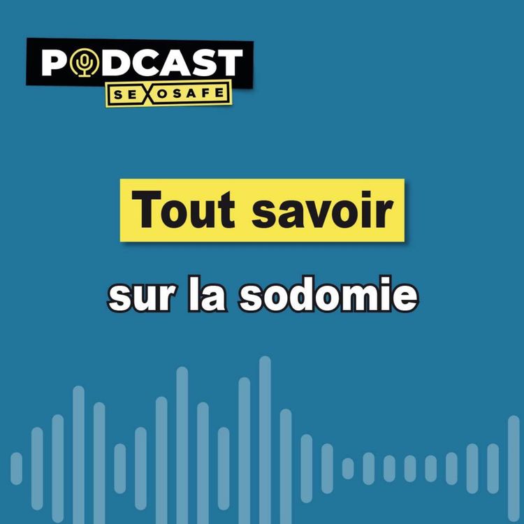 cover art for Tout savoir sur la sodomie
