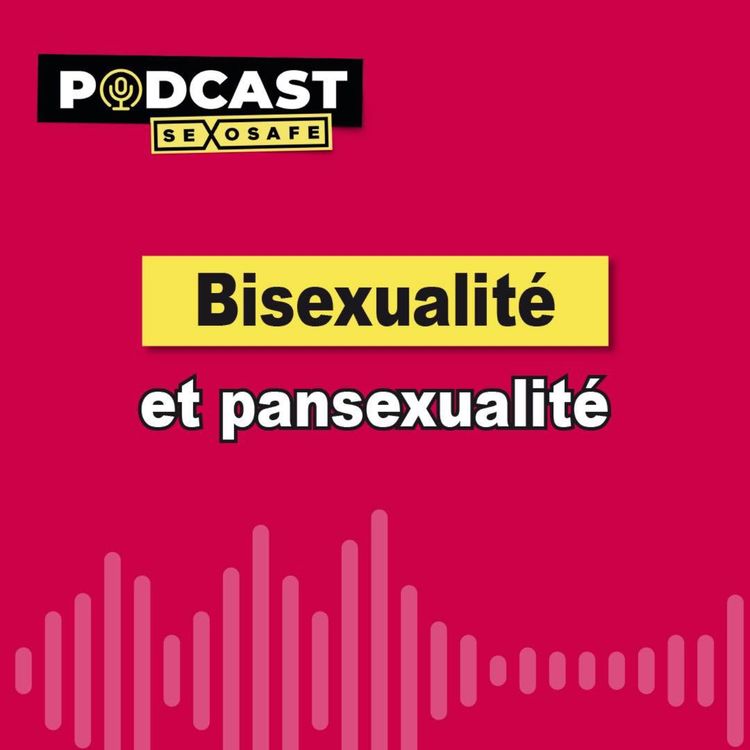 cover art for Bisexualité et Pansexualité
