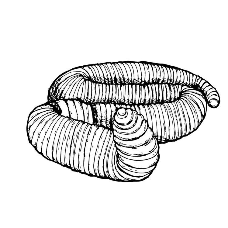 cover art for Heligan’s Earthworm – Alasdair Moore