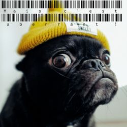 cover art for Mais c'est aberrant ! 