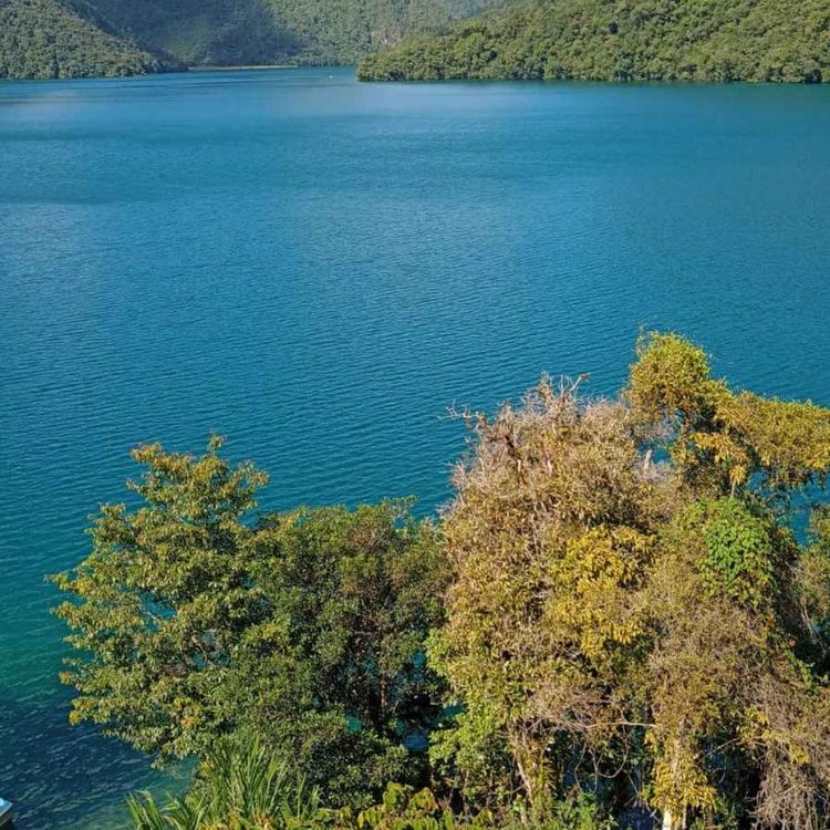 cover art for Viaje a la Laguna Brava