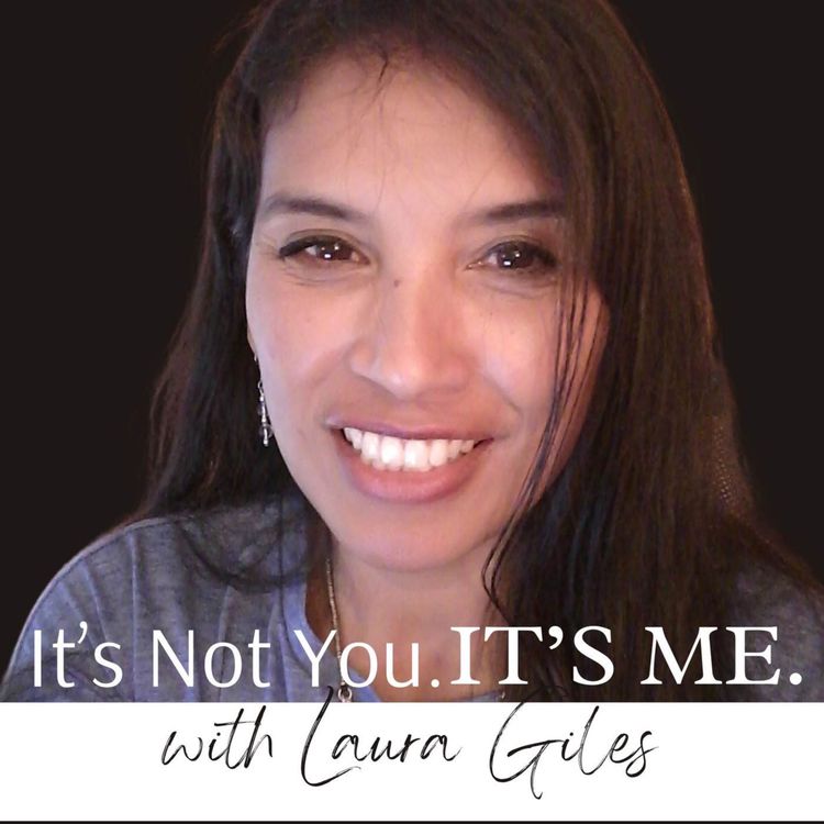 cover art for A Preview of "It's Not You, It's Me" (the remix)