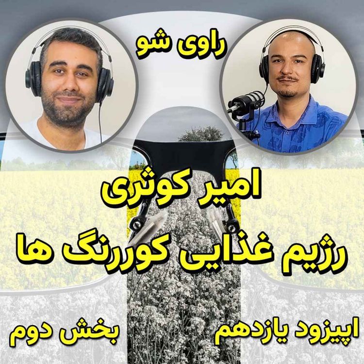 cover art for ۱۱ - امیر کوثری - رژیم غذایی کوررنگ ها