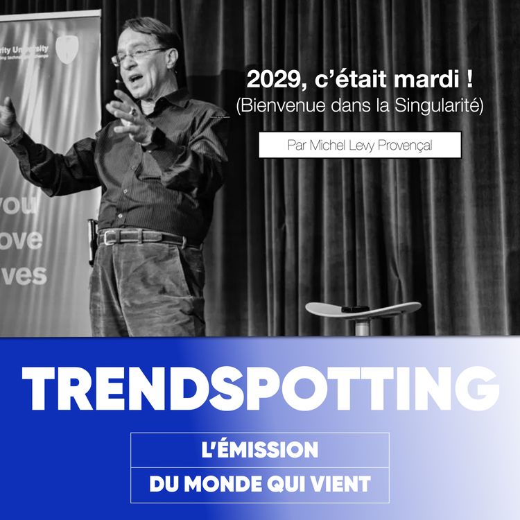 cover art for S5E5 - 2029, c’était mardi ! Bienvenue dans la Singularité. 