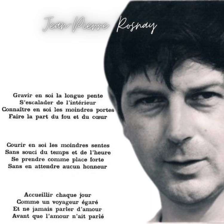 cover art for Nous avons tout dit / Tout nous reste à dire. 