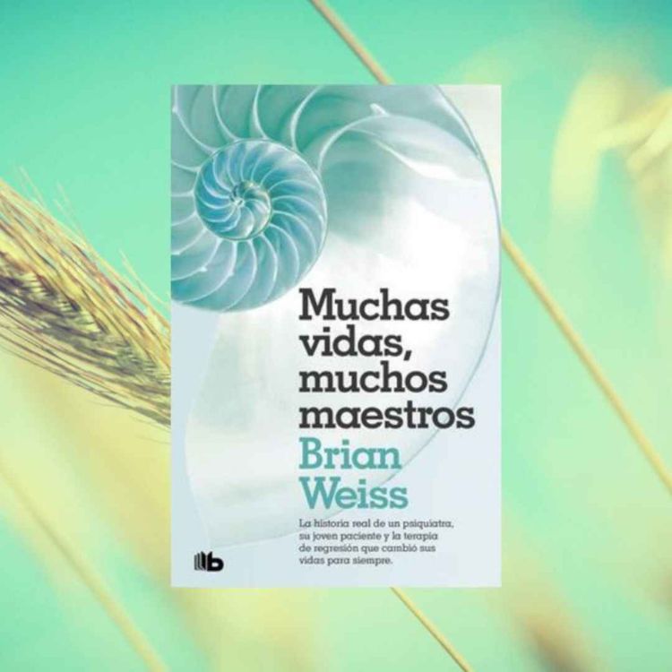 cover art for Muchas vidas, muchos maestros