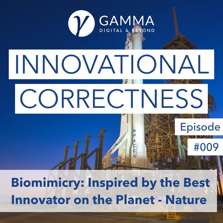 cover art for #009: Biomimicry: Inspired by the Best Innovator on the Planet - Nature w/ Jamie Dwyer