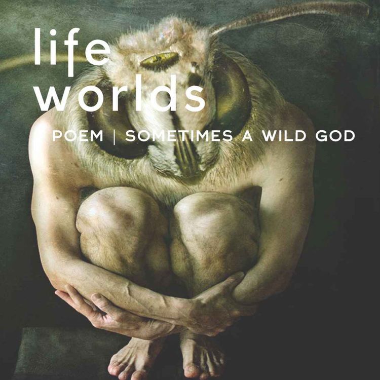 cover art for Poem | Sometimes a Wild God