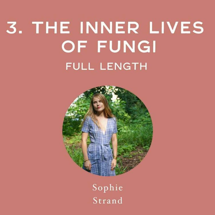 cover art for [Full Interview] The Inner Lives of Fungi - with Sophie Strand