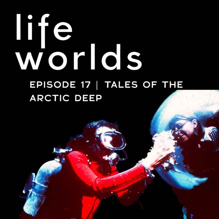 cover art for 17. Tales of the Arctic Deep – with Sylvia Earle, Johan Rockström and Taylor Griffith