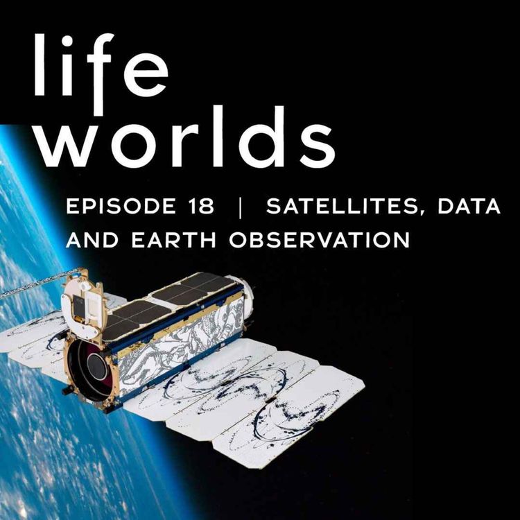 cover art for 18. Satellites, Data and Earth Observation: Signal from Noise – with Dan Hammer