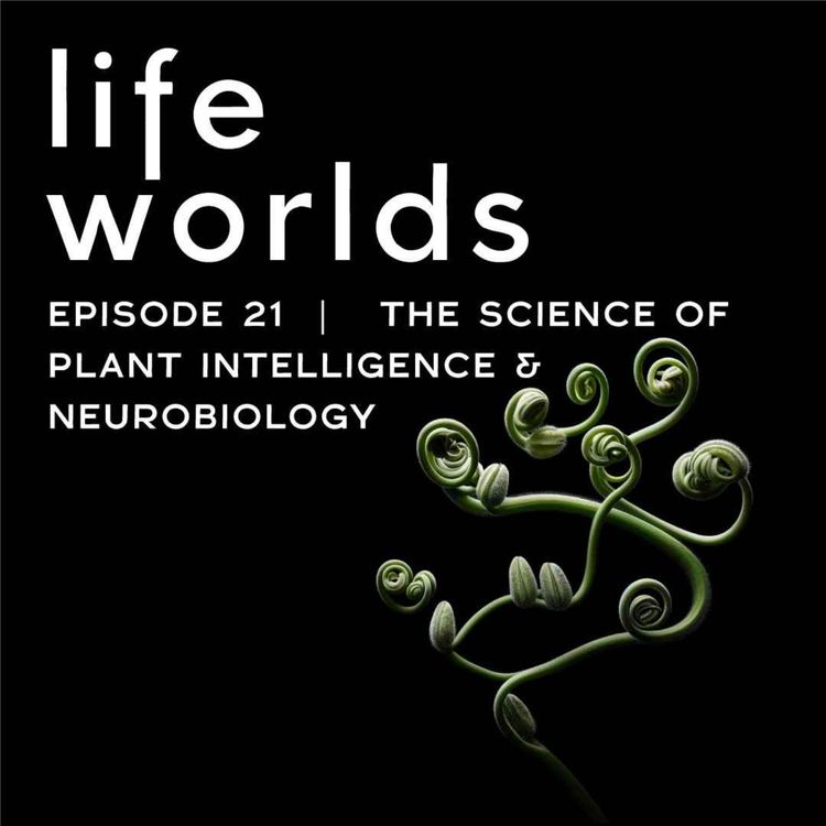 cover art for 21. The Science of Plant Intelligence & Neurobiology - with Paco Calvo