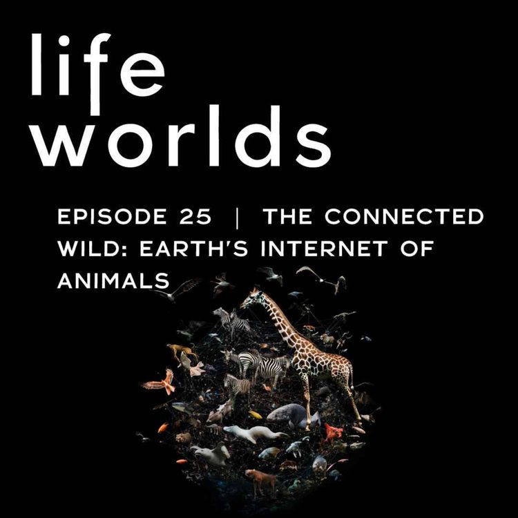 cover art for 25. The Connected Wild: Earth’s Internet of Animals