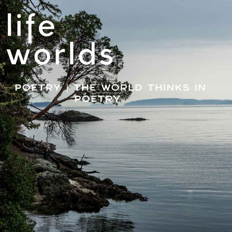 cover art for Poetry | The World Thinks in Poetry