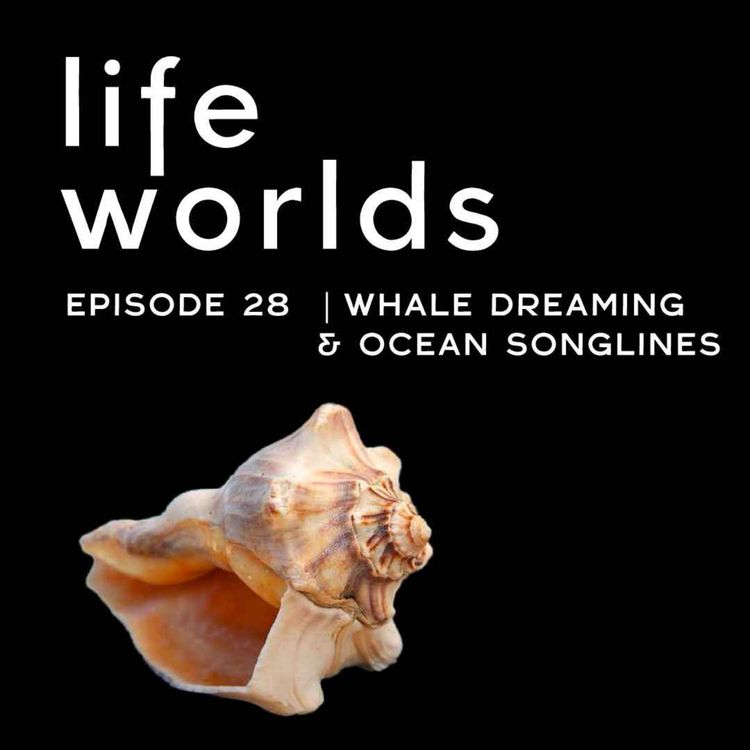 cover art for 28. Whale Dreaming & Ocean Songlines