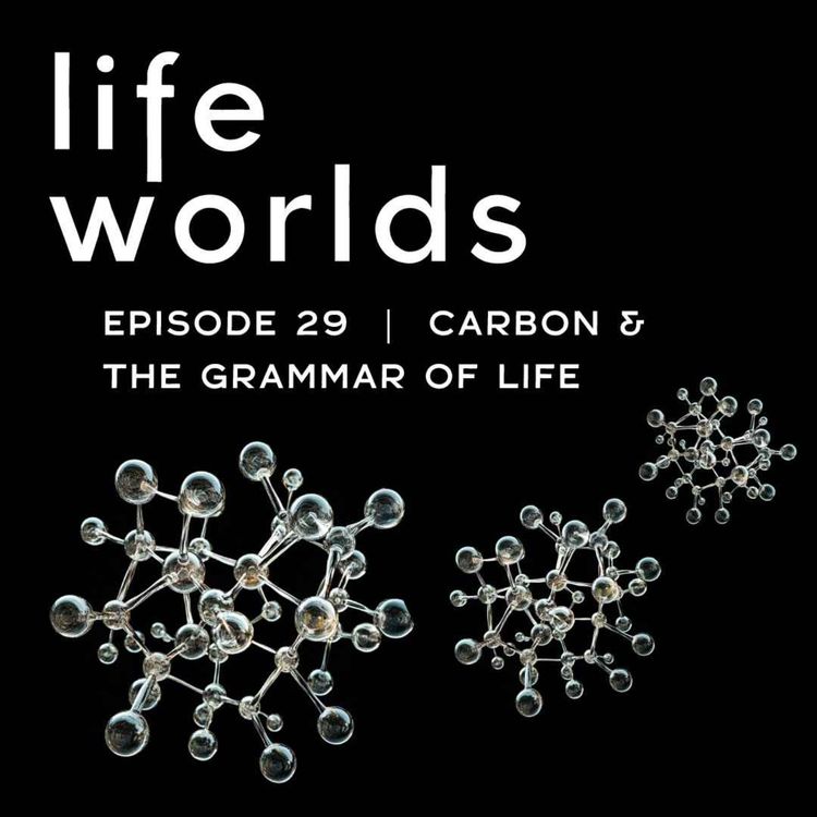 cover art for 29. Carbon and the Grammar of Life