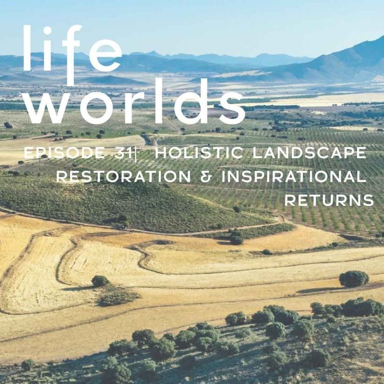 cover art for 31. Holistic Landscape Restoration and Inspirational Returns – with Willem Ferwerda from Commonland 