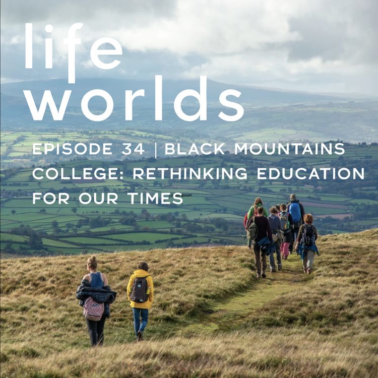 cover art for 34. Black Mountains College: Rethinking Education for Our Times