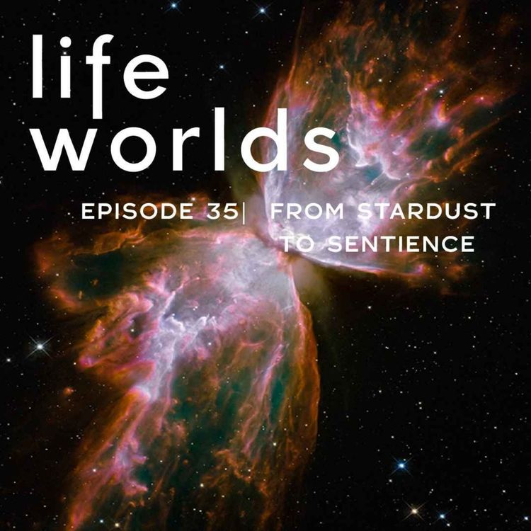 cover art for 35. From Stardust To Sentience: Astrobiology & Life in the Cosmos – with Adam Frank