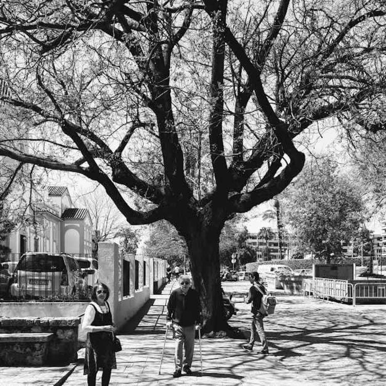 cover art for Zuerst war ich ein Stück Leder