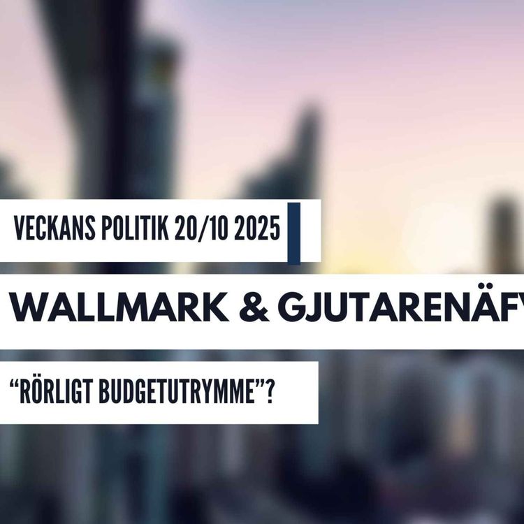 cover art for 436. Omvärldsanalys 20/10 2025. Budget hundra miljoner SEK med noll utvisade. 700.000 i Fattigdom?