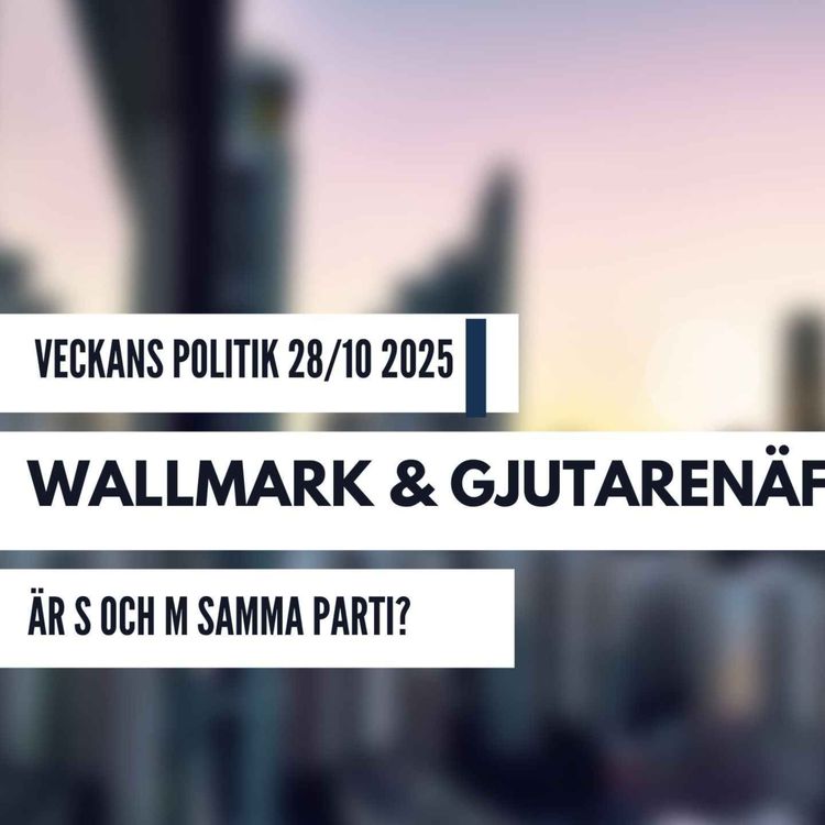 cover art for 440. Omvärldsanalys 28/10 2025. Är S och M samma parti?