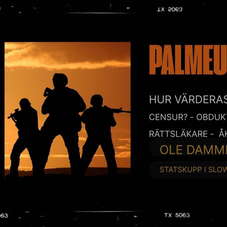 cover art for 441. Palmeutredningen - En riktig utredning?