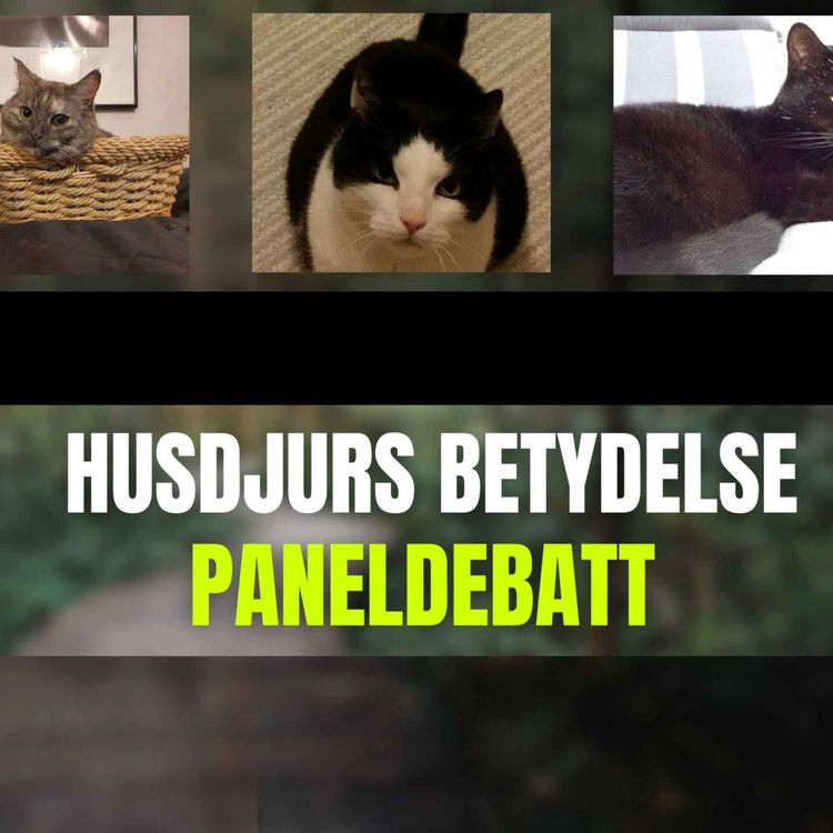 cover art for 438. Hur mycket betyder ditt husdjur?