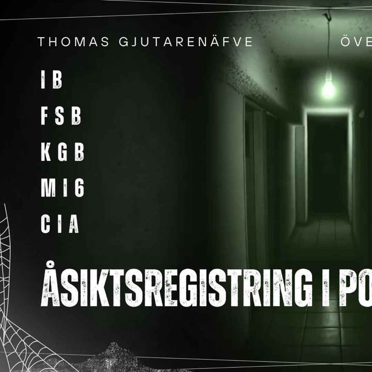 cover art for Åsiktsregistrering och Politiska System