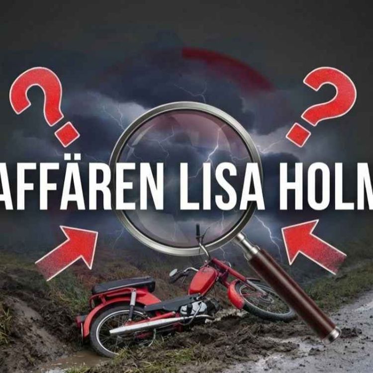 cover art for 463. Affären Lisa Holm.
