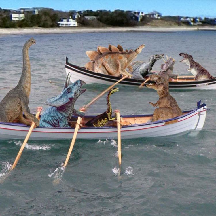 cover art for Episode 71: "A beautiful bollard"