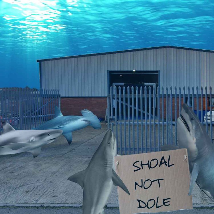 cover art for Episode 90: “Scab sharks, boo” 