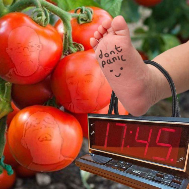 cover art for Episode 96: “Dashboard Cucumbers” 