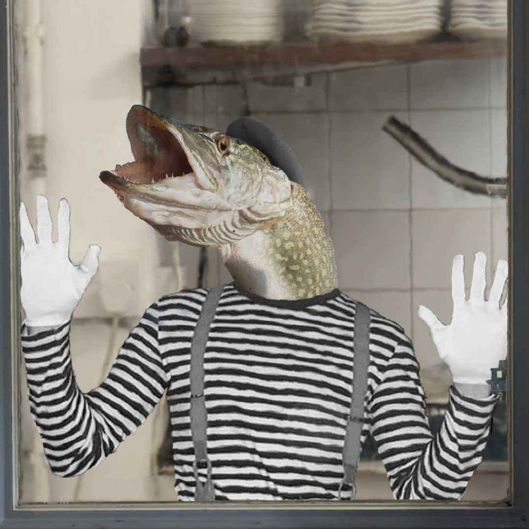 cover art for Episode 134: “The Fish Adventure”