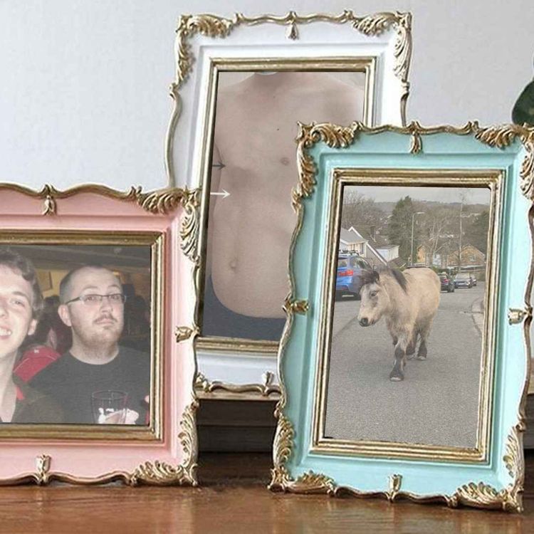 cover art for Episode 137: “I can smell the memory of a horse”