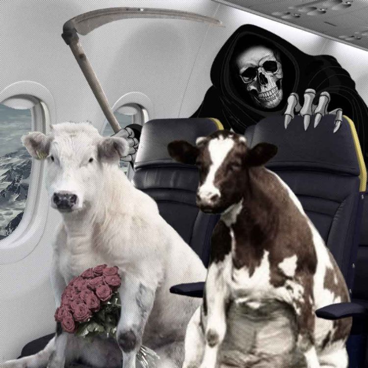 cover art for Episode 142: “The bad beef years are coming”