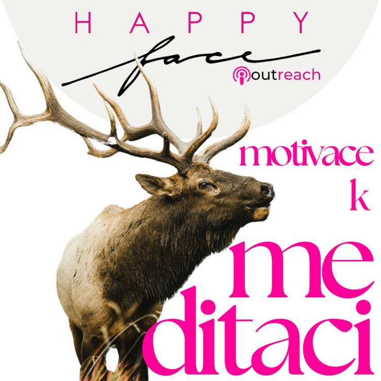 cover art for Motivace k meditaci