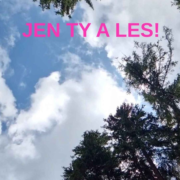 cover art for Tvůj úplný klid v lese. Jen Ty a les!