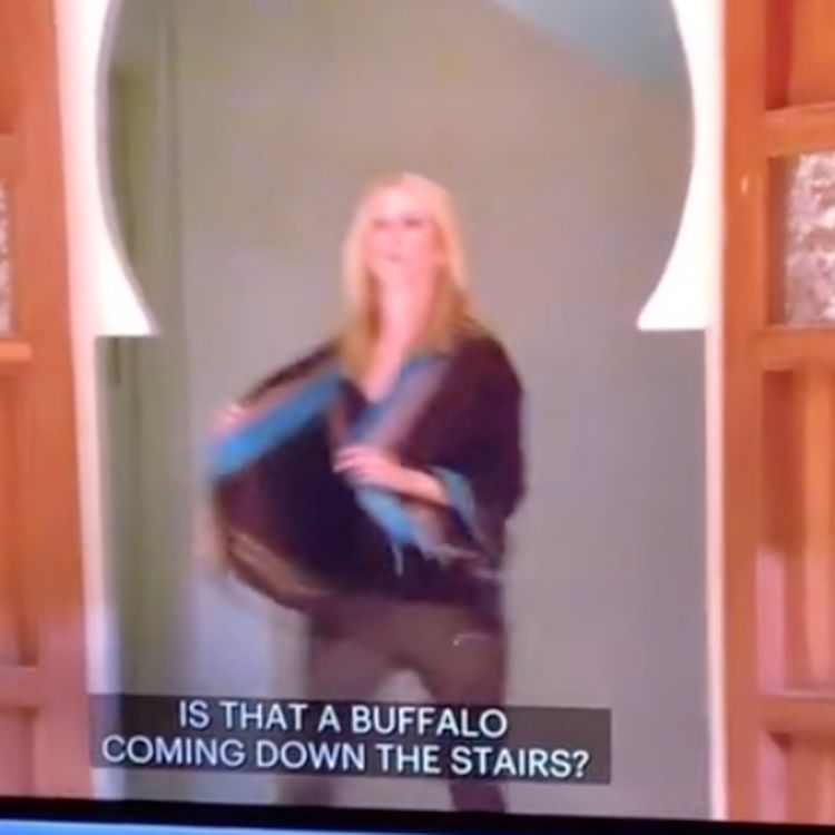 cover art for Kelly Bensimon Breaks The Fourth Wall RHONY S4 E10