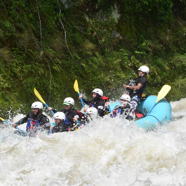 cover art for MEXICO VERDE 30 AÑOS DE TURISMO DE AVENTURA
