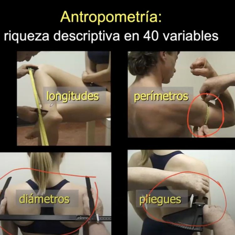 cover art for Cineantropometria por Francis Holway