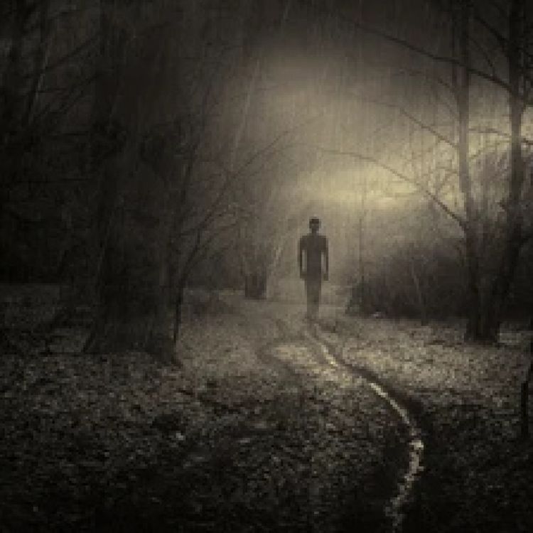 cover art for La chica del arbol y La niña sombra