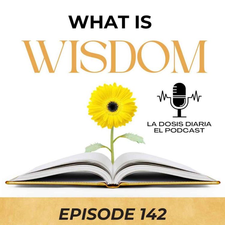 cover art for What is wisdom?