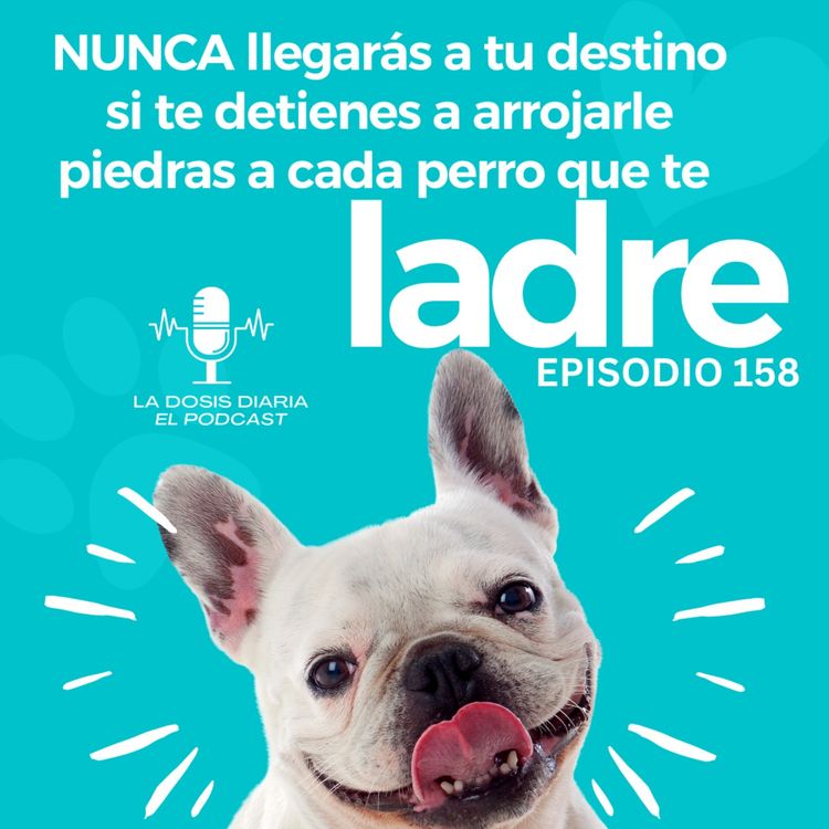 cover art for + Nunca llegarás a tu destino si te detienes a arrojarle piedras a cada perro que te ladre!