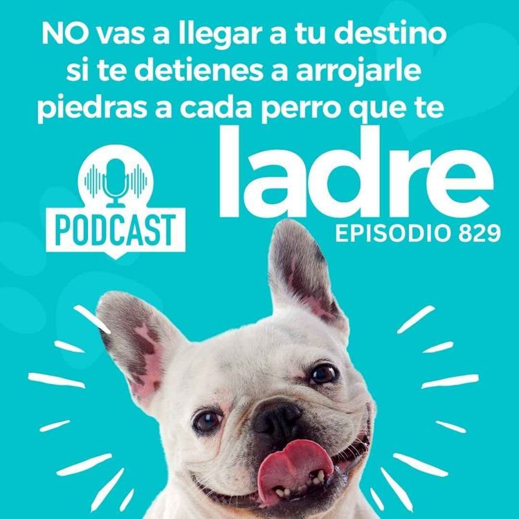 cover art for NO vas a llegar a tu destino si te detienes a arrojarle piedras a cada perro que te Ladre