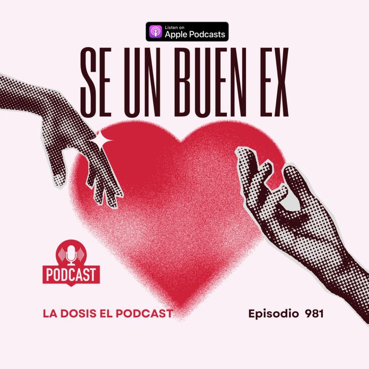 cover art for Como ser un buen EX..