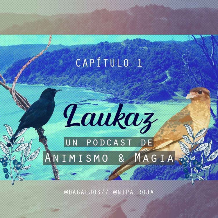 cover art for Intro al Animismo