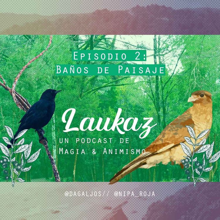 cover art for Baños de Paisaje