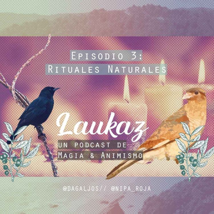 cover art for Rituales Naturales 