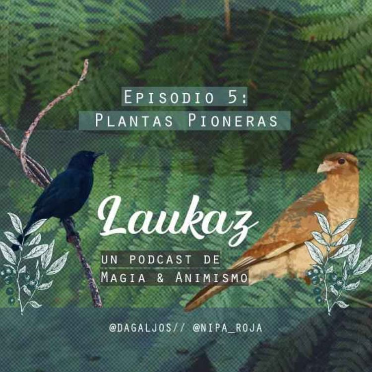 cover art for Plantas Pioneras 